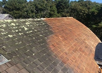 Tampa Bay Roof Cleaning Service